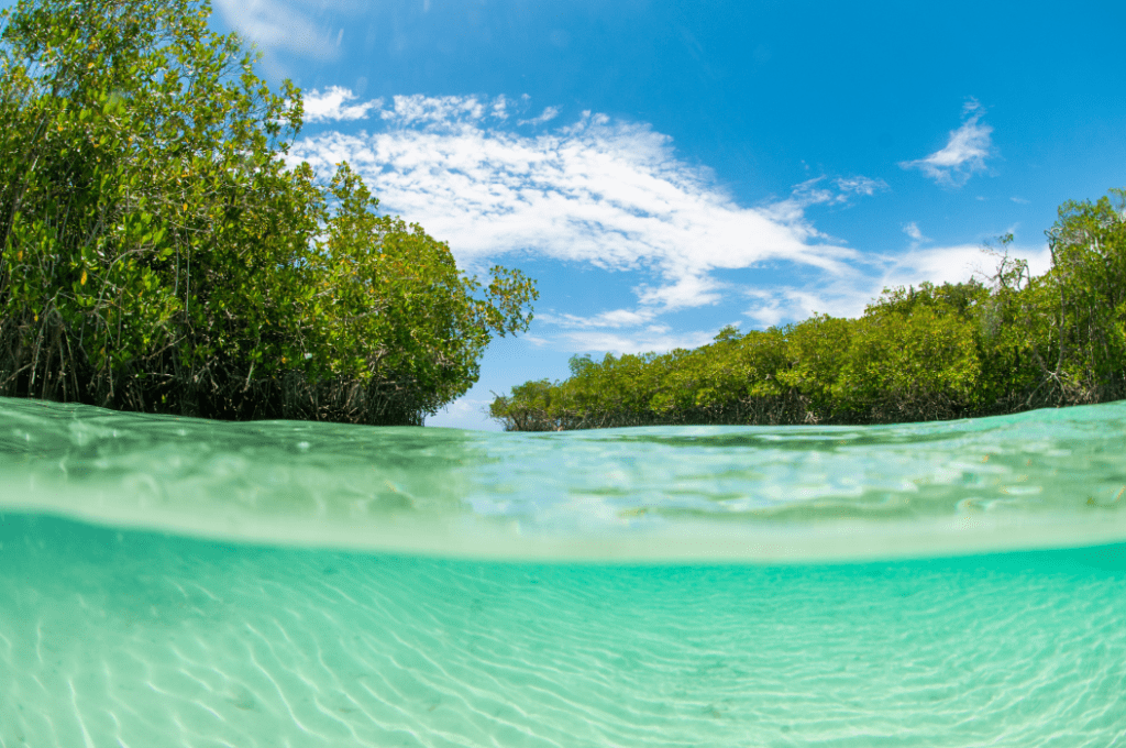 Boca Ciega Channel