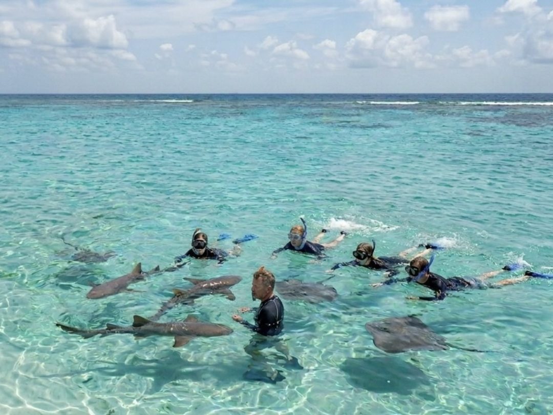 Shark Ray Alley stop