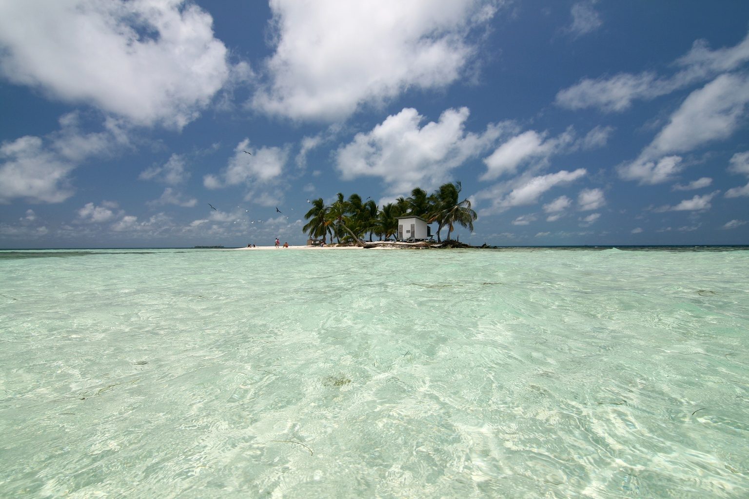 Silk Caye