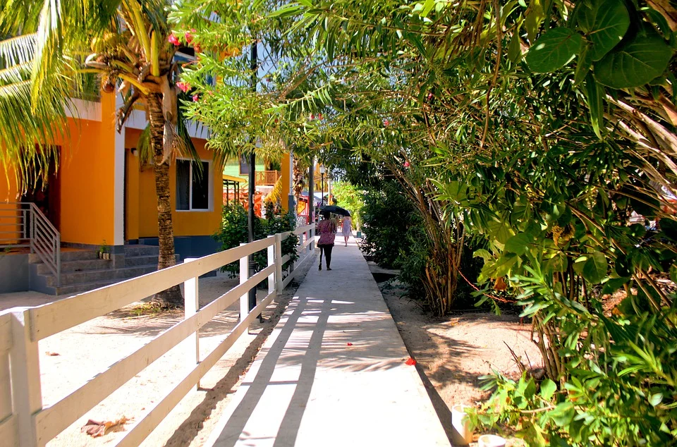 Placencia Sidewalk