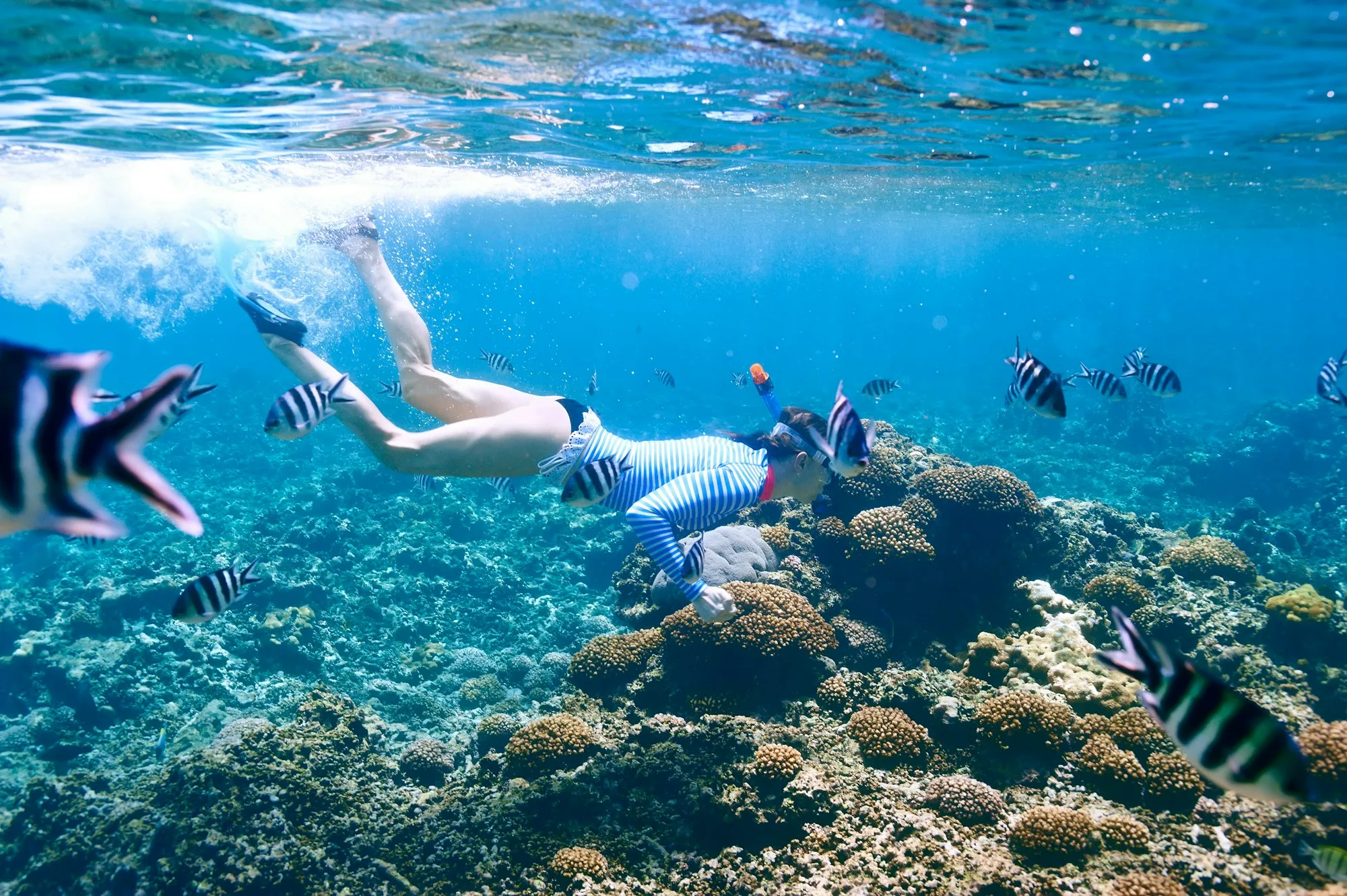 First snorkel session