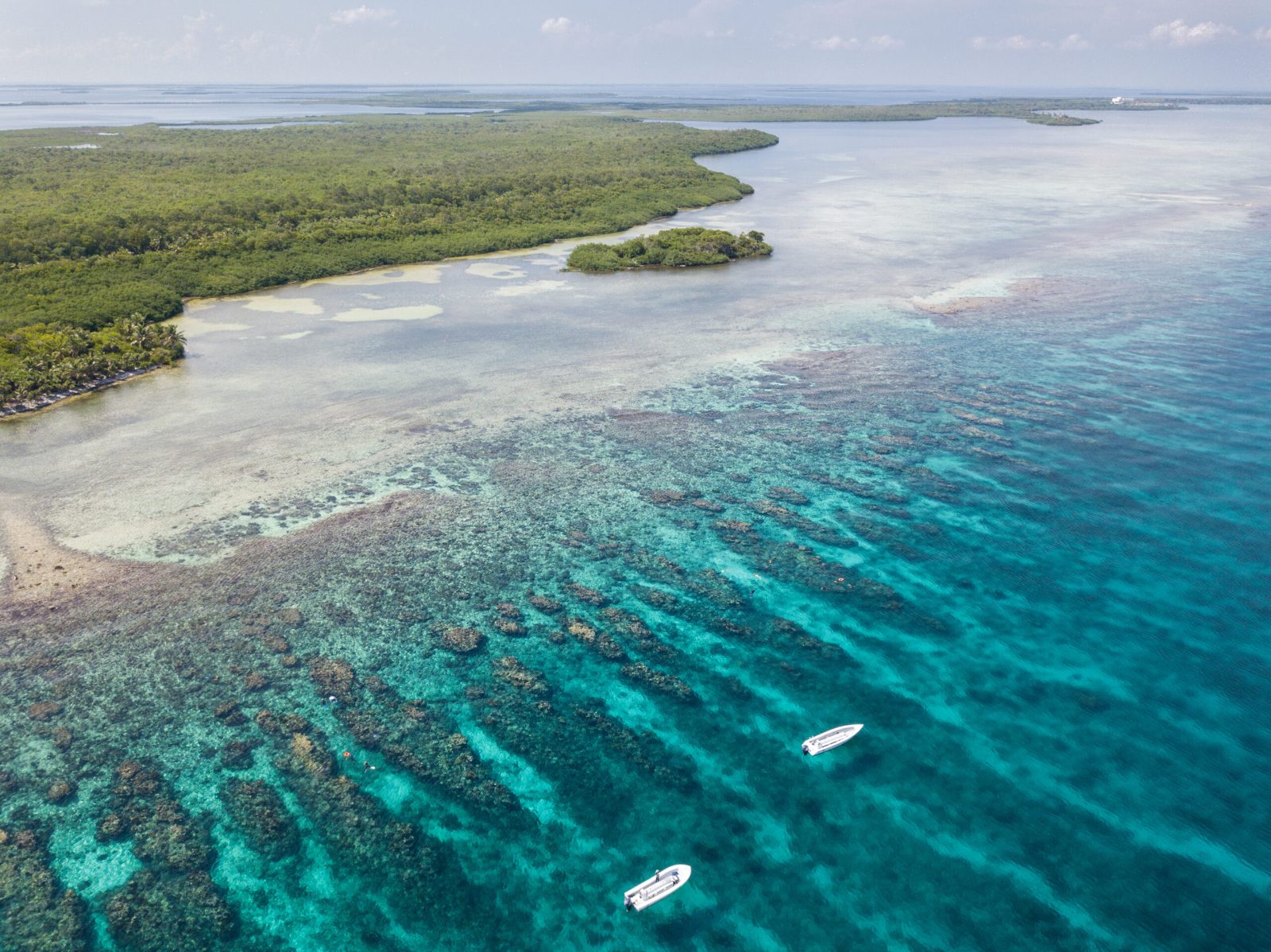Turneffe Atoll Elbow