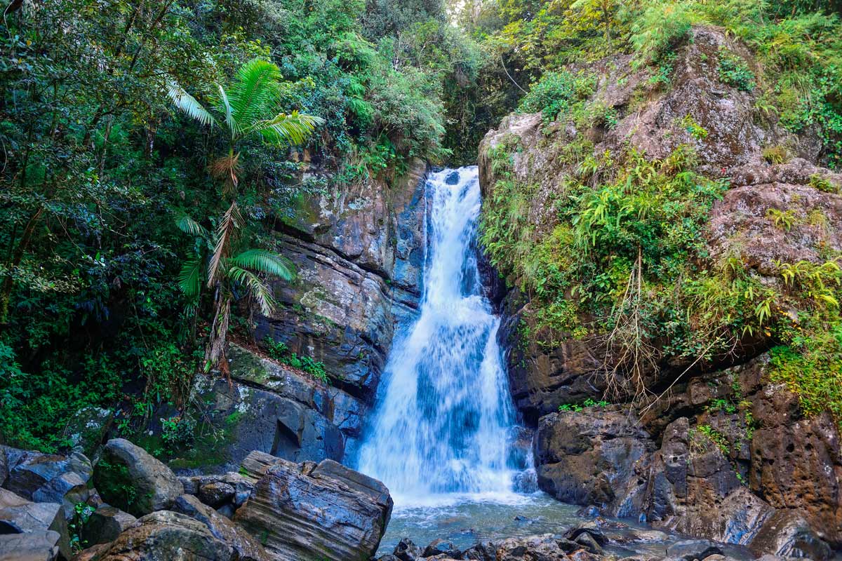 El Yunque National Forest