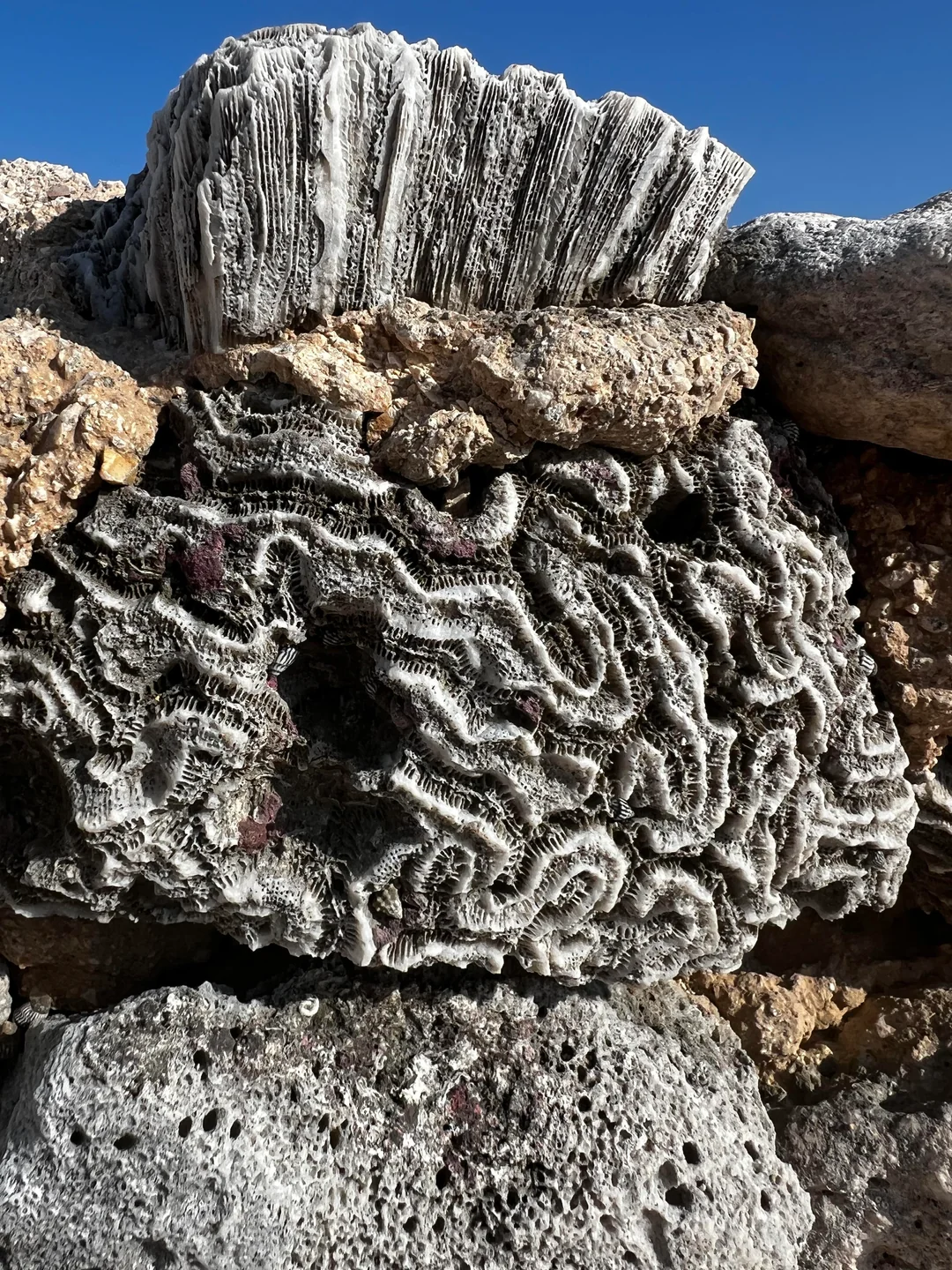 Mexico Rocks