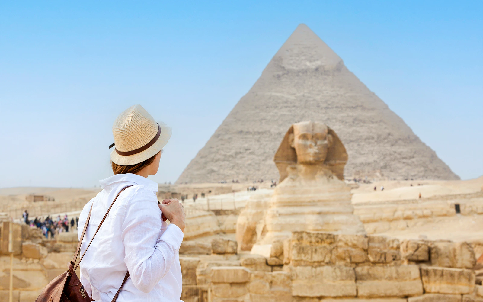 Sphinx Enclosure Viewing Deck