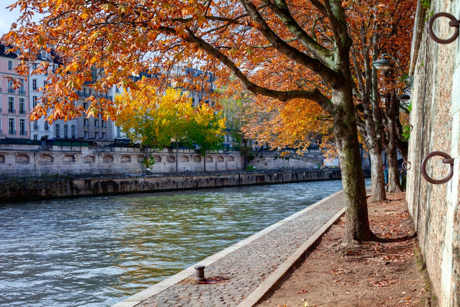Île Saint-Louis riverbank