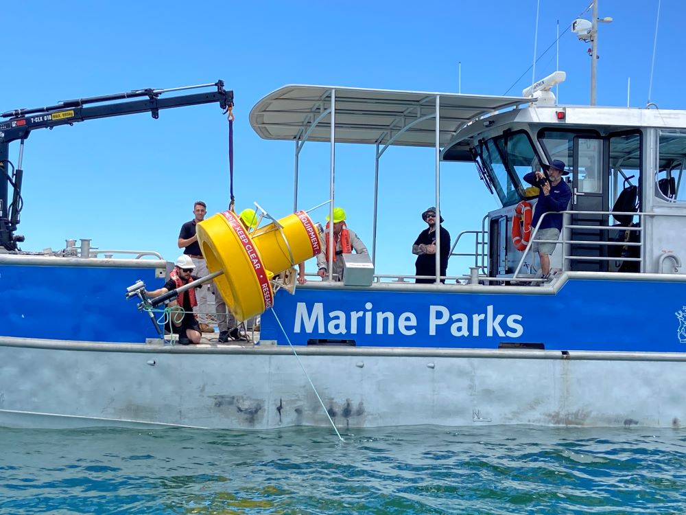 Carlisle Bay Marine Park Buoys