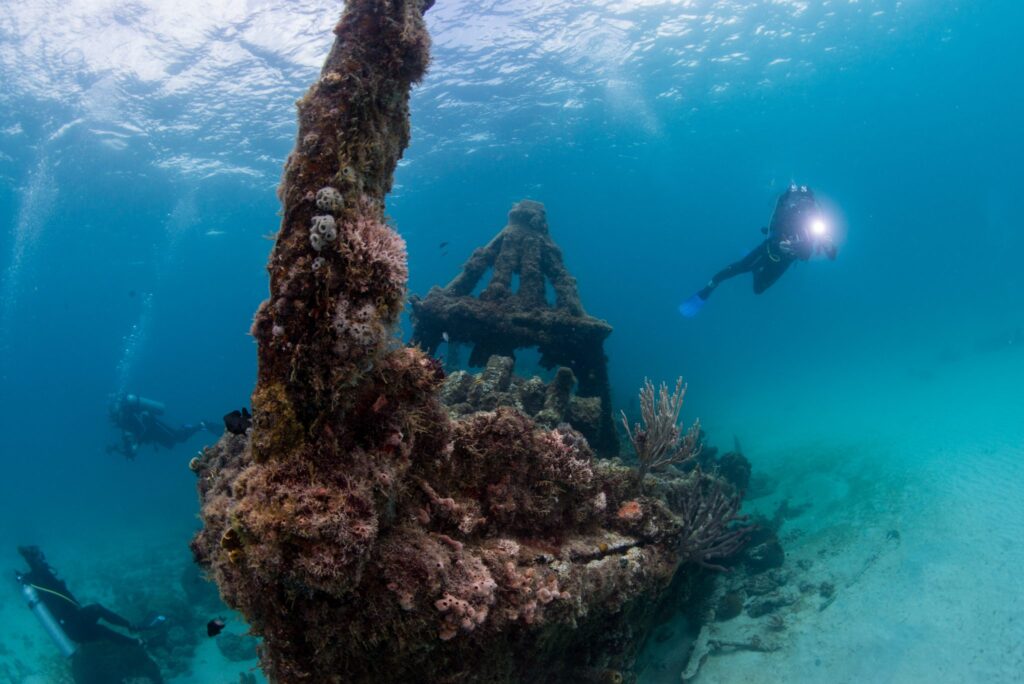 Carlisle Bay Marine Park