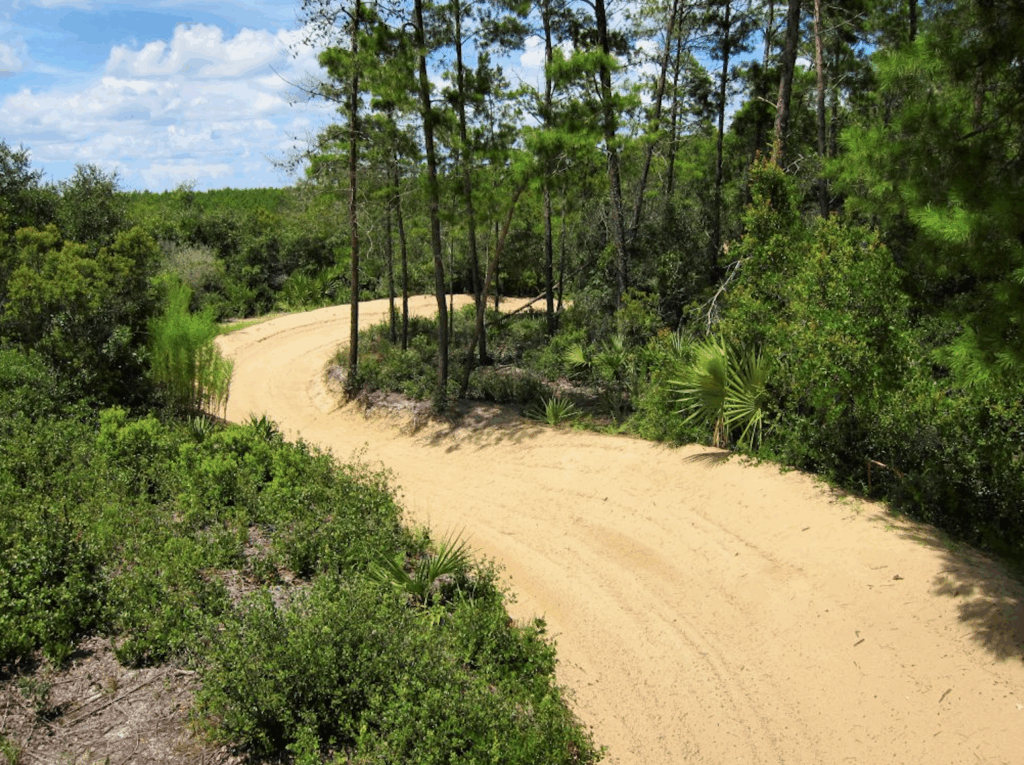 Scrub and Pine Trail Loop
