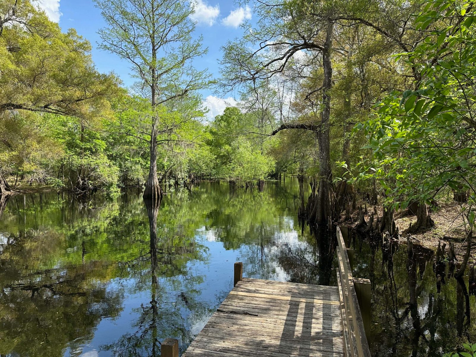 Green Swamp Wilderness Preserve