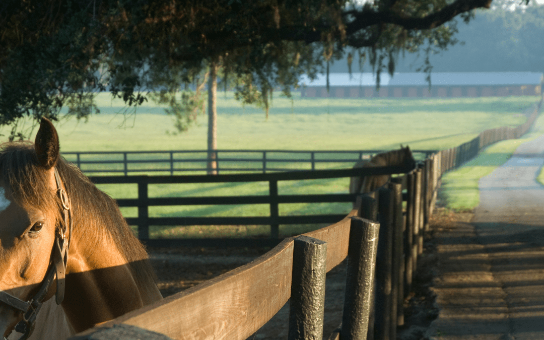 Ranch Staging Area