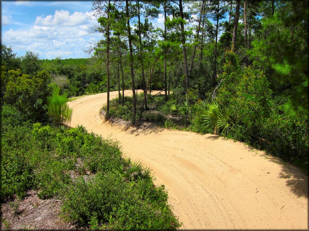 Backcountry Palmetto Trail