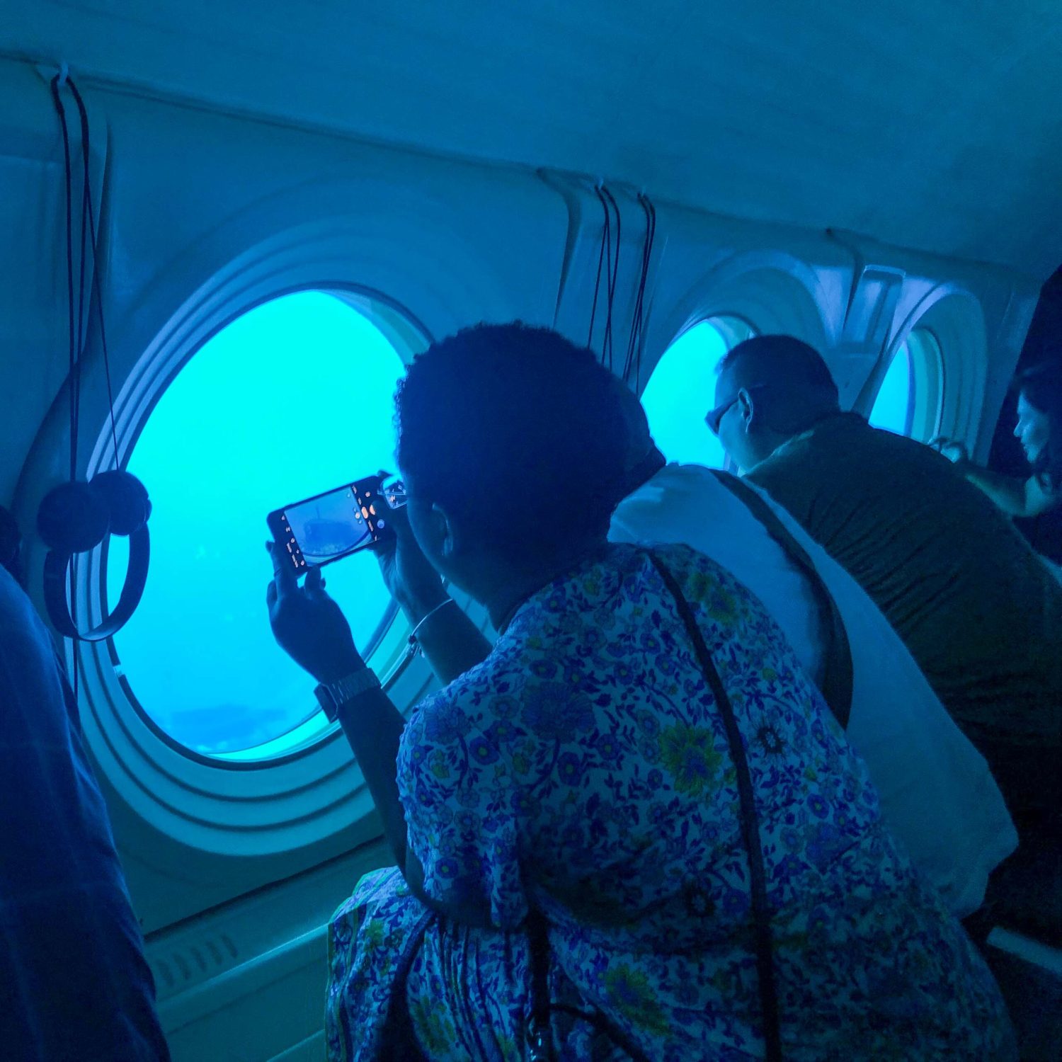 Coral Reef Viewing Zone