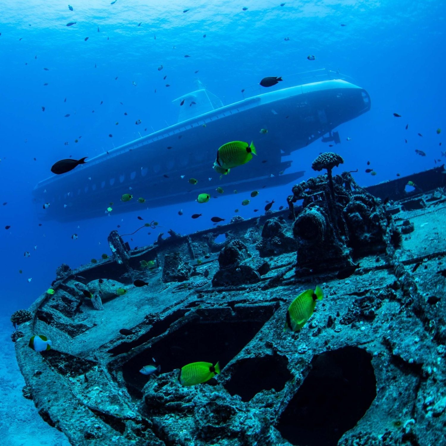 Underwater tour