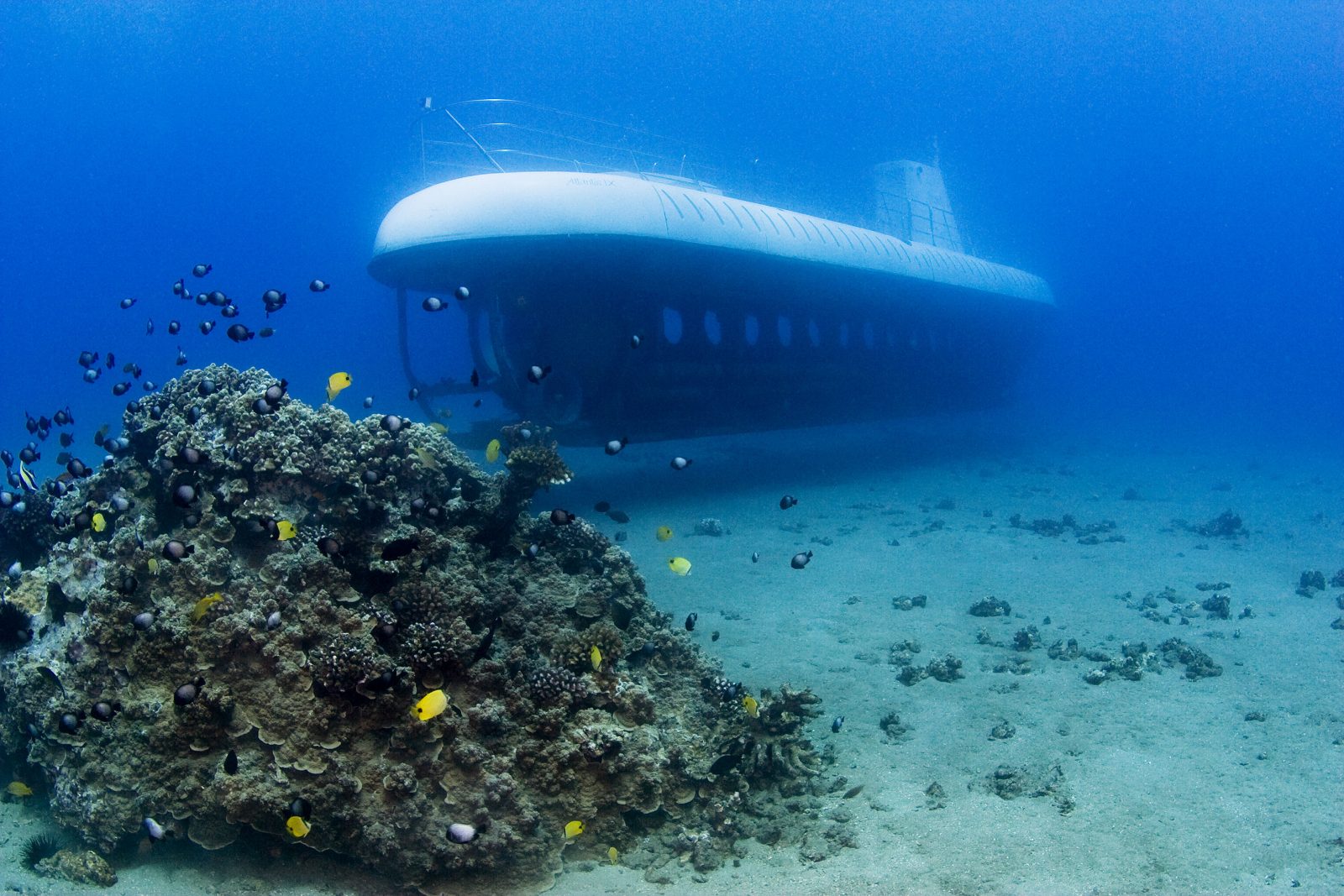 Submarine Tour in Honolulu