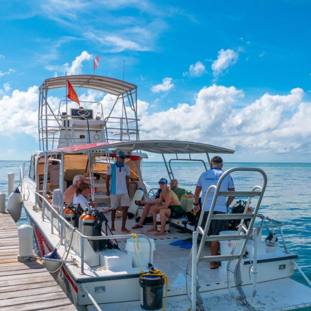 Boat transfer to Hol Chan