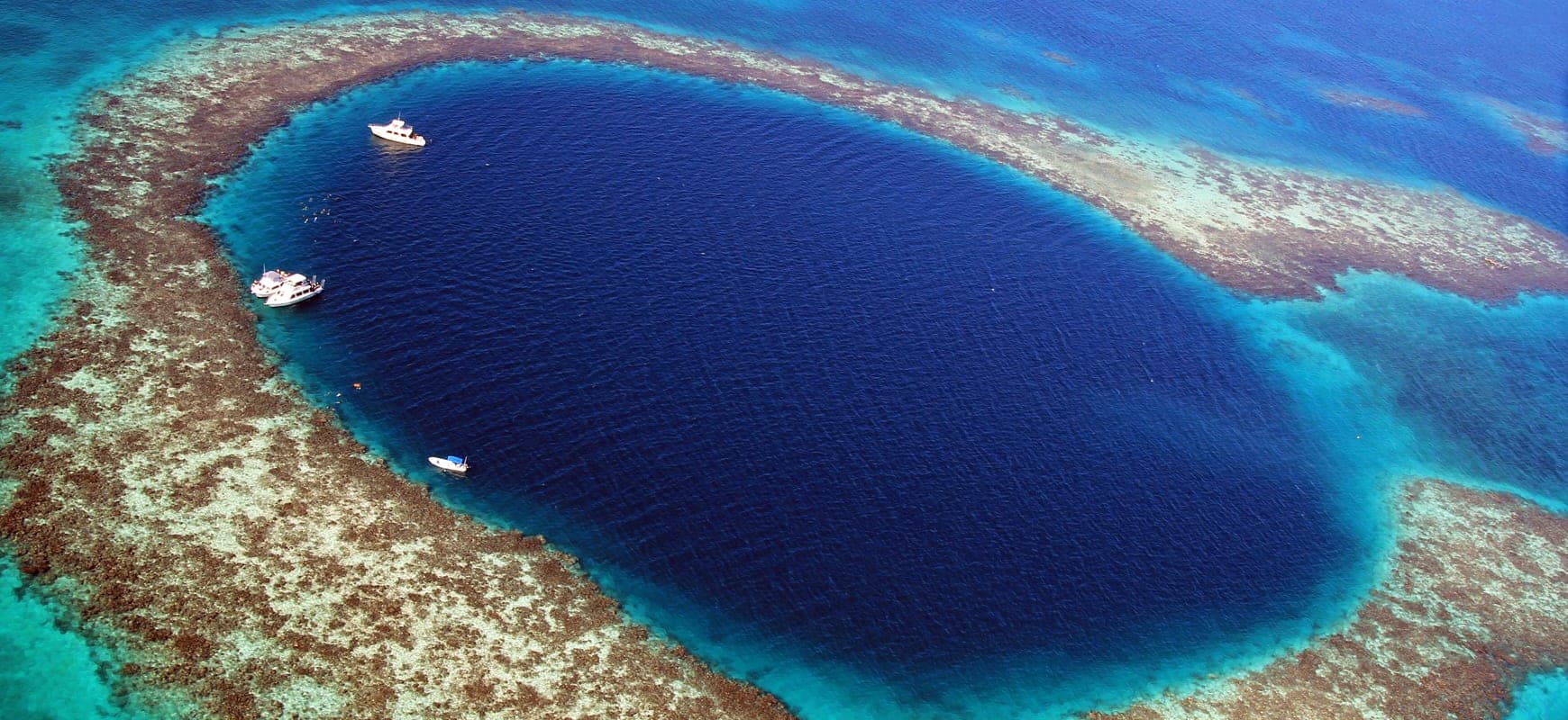 The Rim Coral Wall