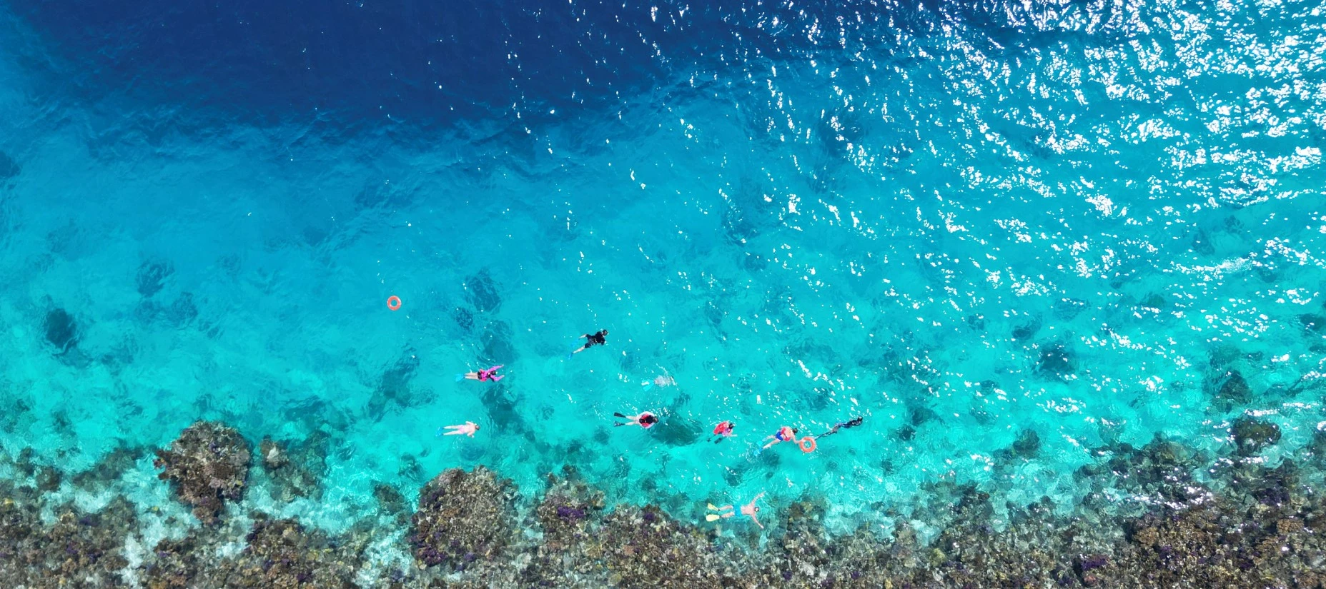 Snorkel session at the rim