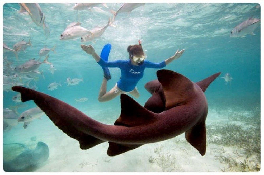 Snorkeling Tours From Belize City