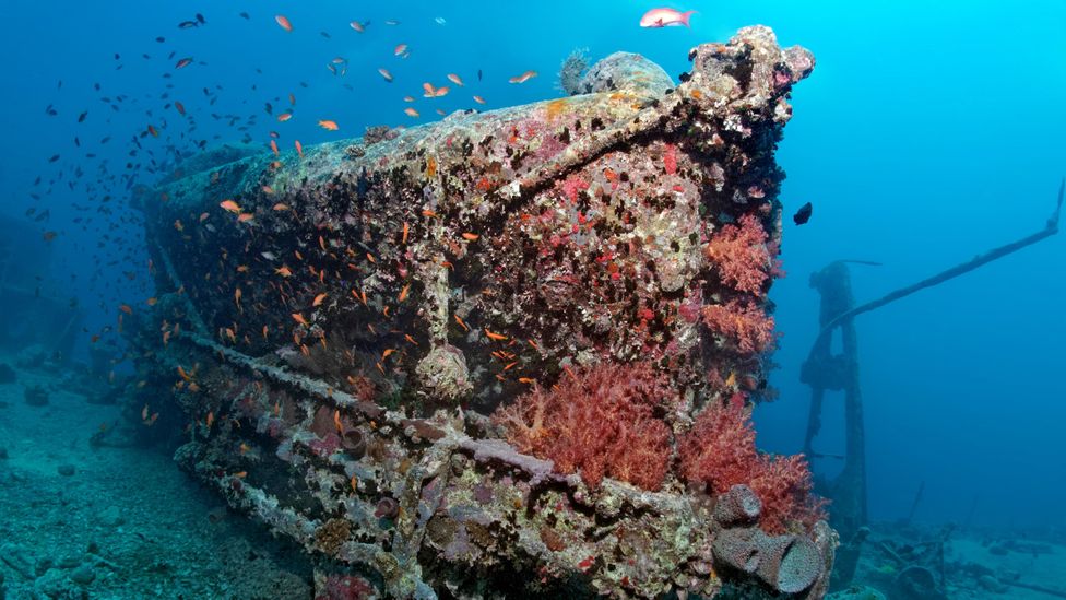 Sunken Shipwrecks