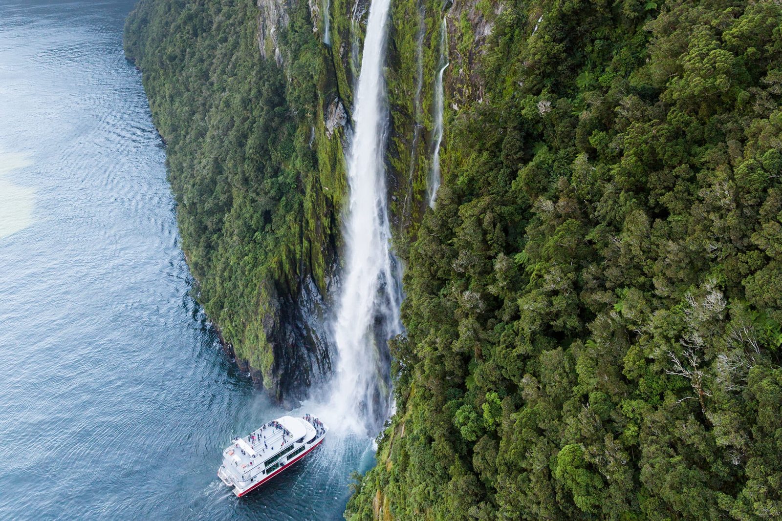 Your experience at Milford Sound Cruise