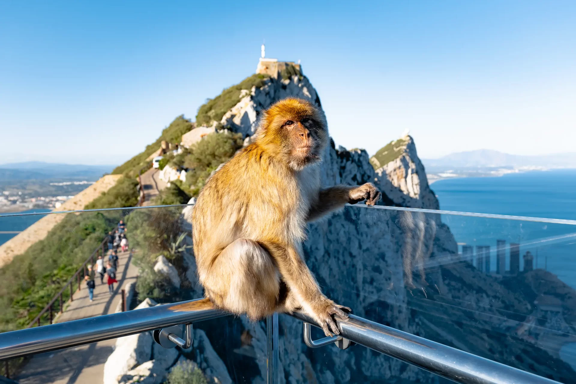 Your experience at Seville to Gibraltar Day Trip