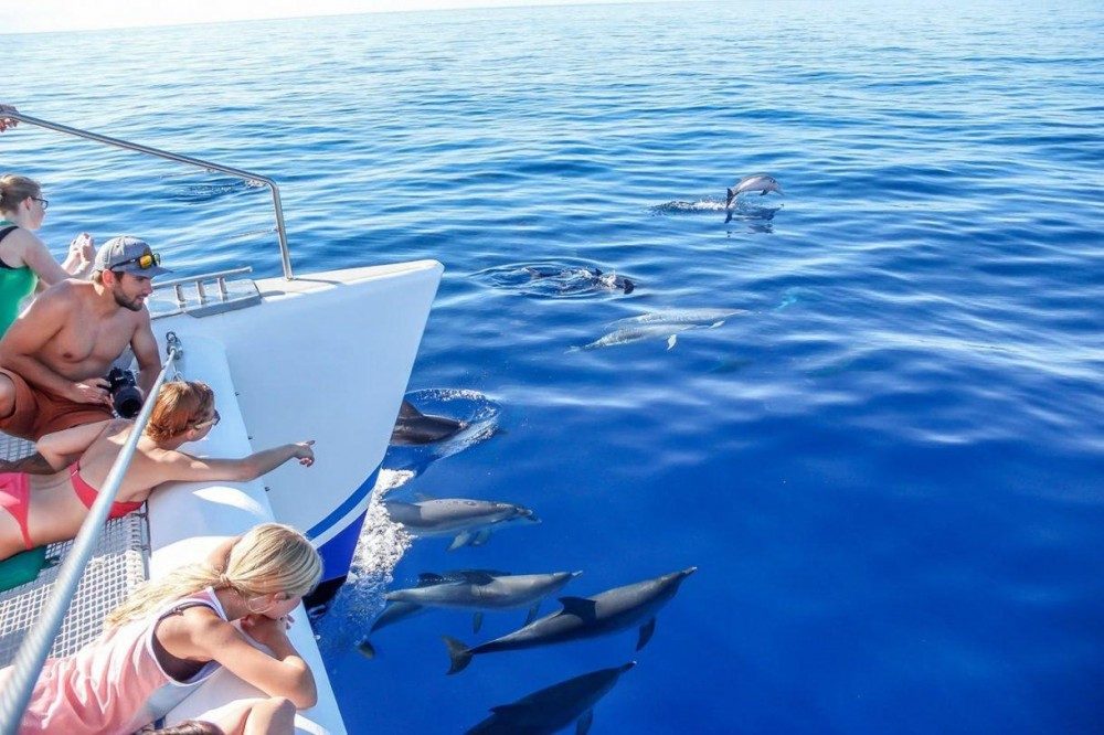 Your experience at Catamaran Funchal