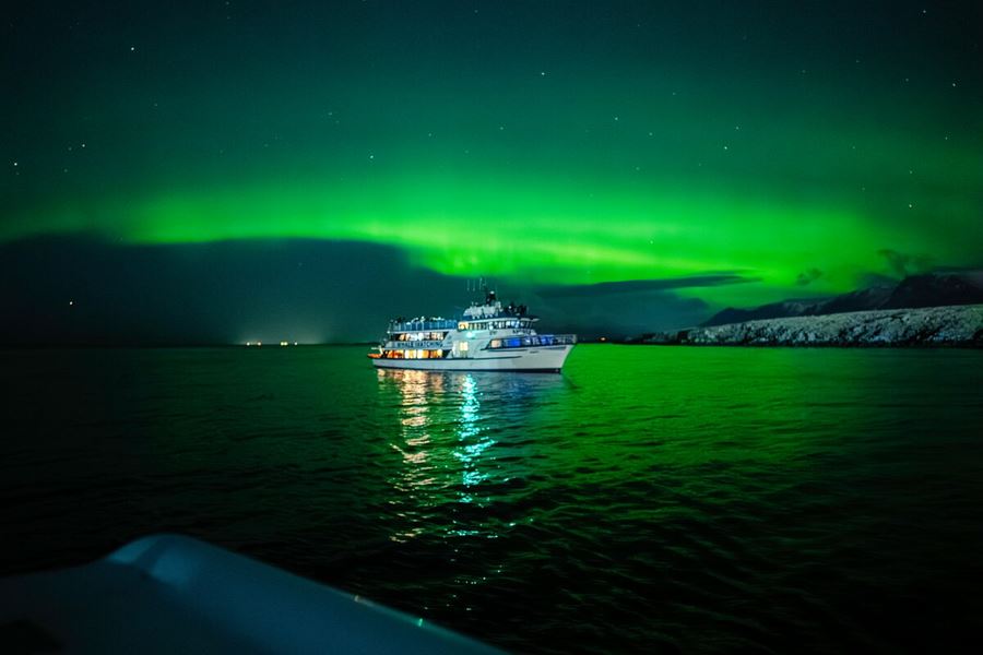Your experience at Northern Lights Boat Tour Reykjavik