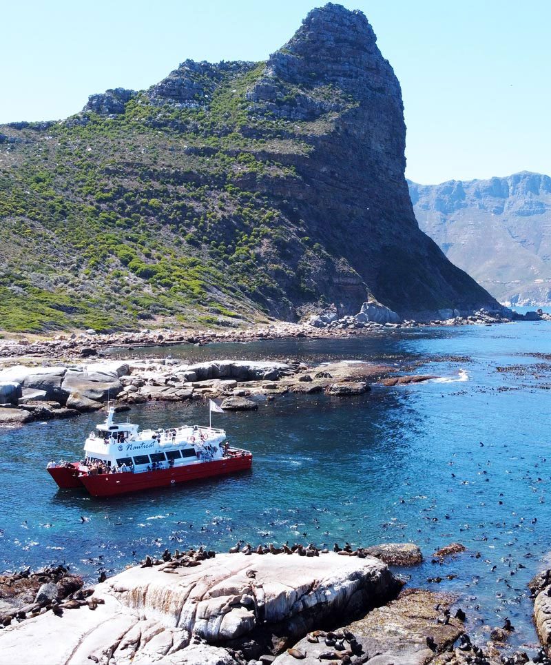 Your experience at Hout Bay Boat Trips