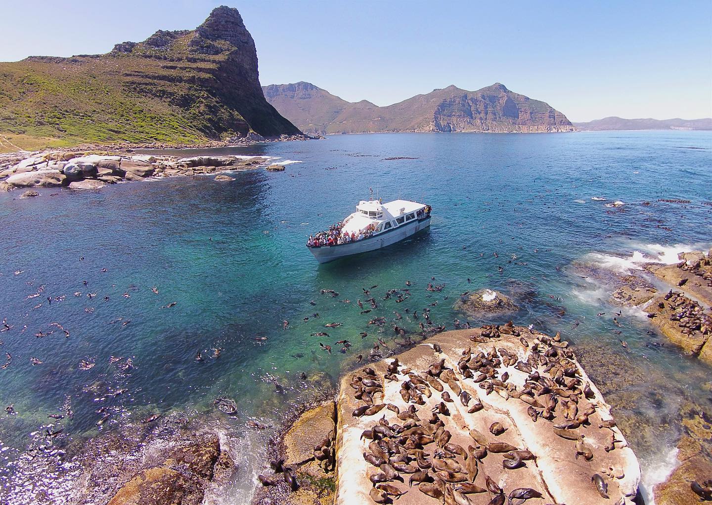 Hout Bay Boat Trips
