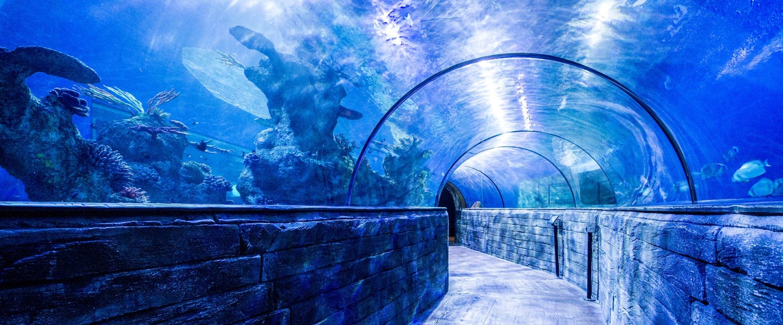 Malta National Aquarium