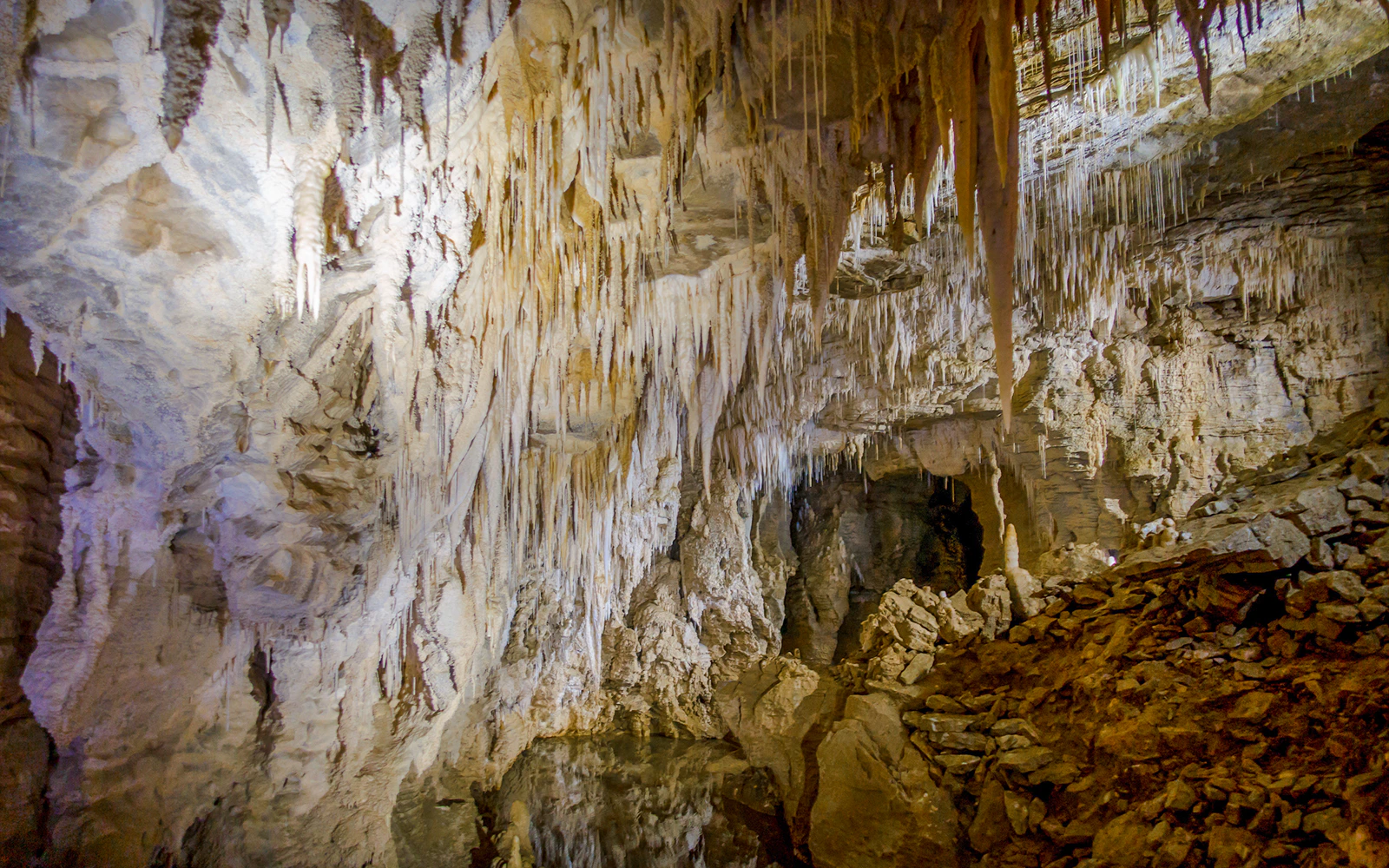 Waitomo Caves Tour Information