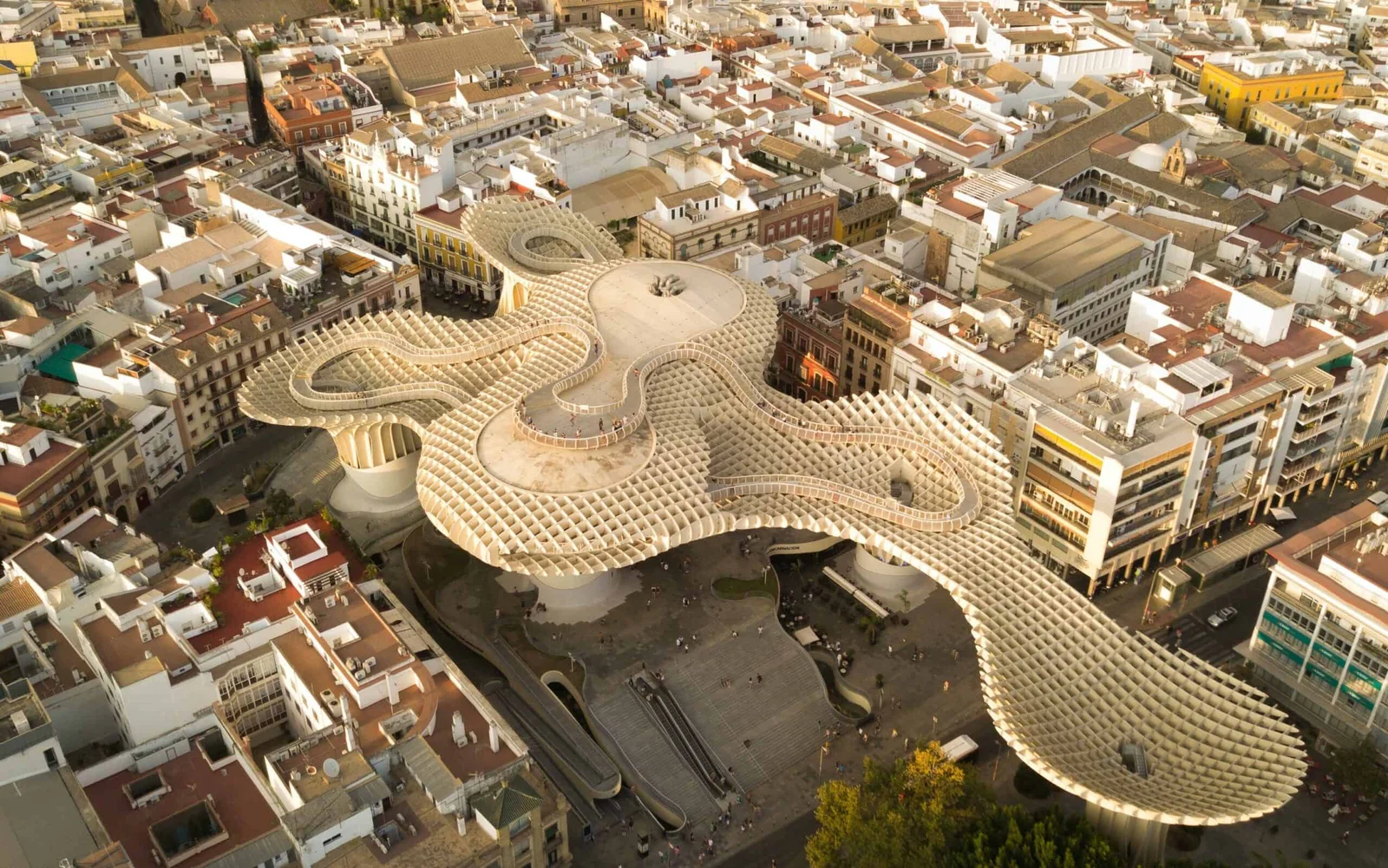 Setas de Sevilla