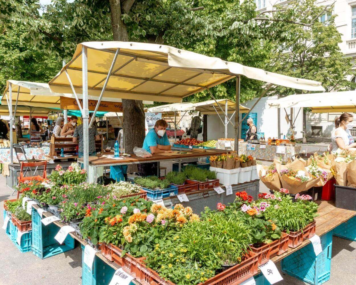 Vinohrady Market Finds