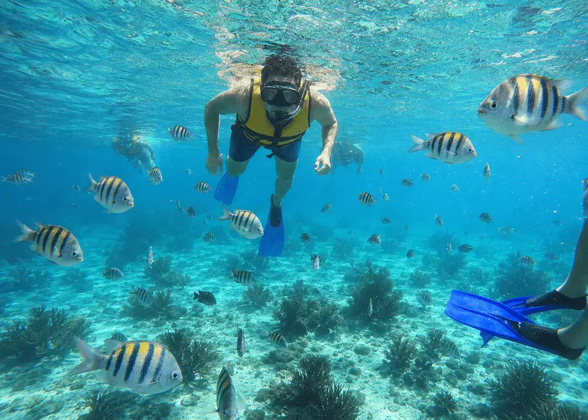 Garrafón Reef