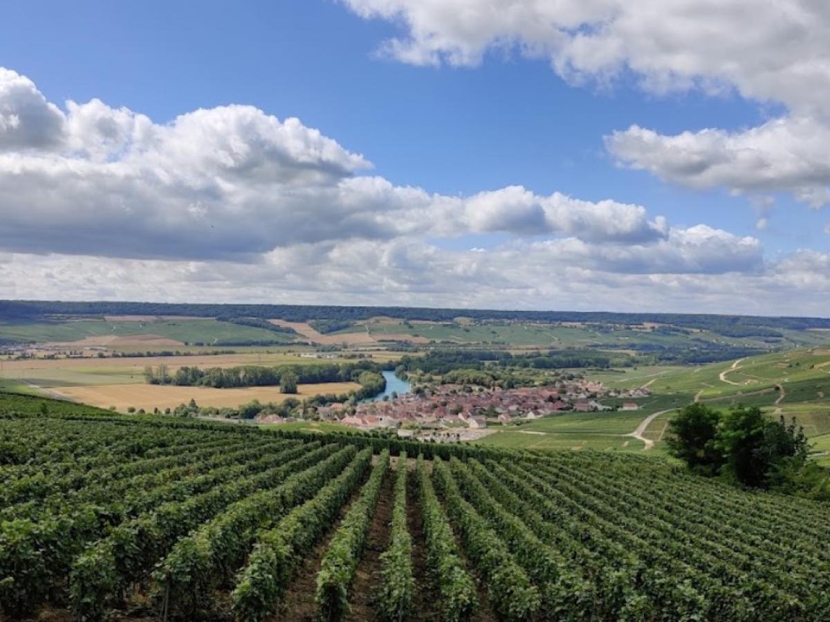 Belvédère de Dom Pérignon