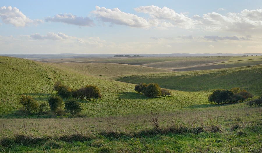 Salisbury Plain Landscape
