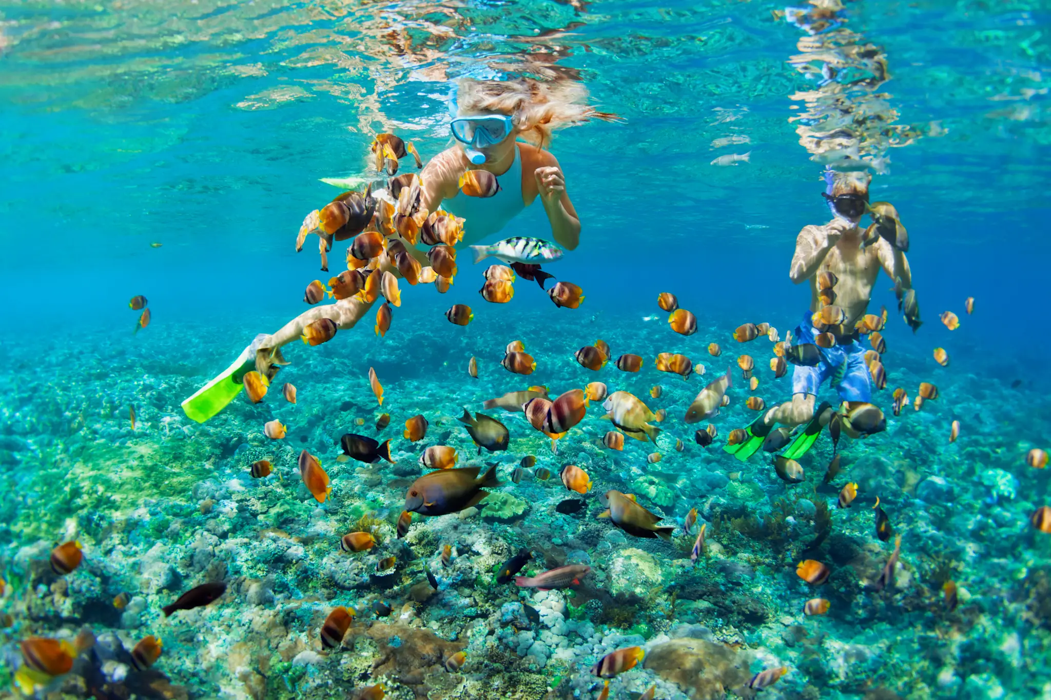 Snorkeling Phuket