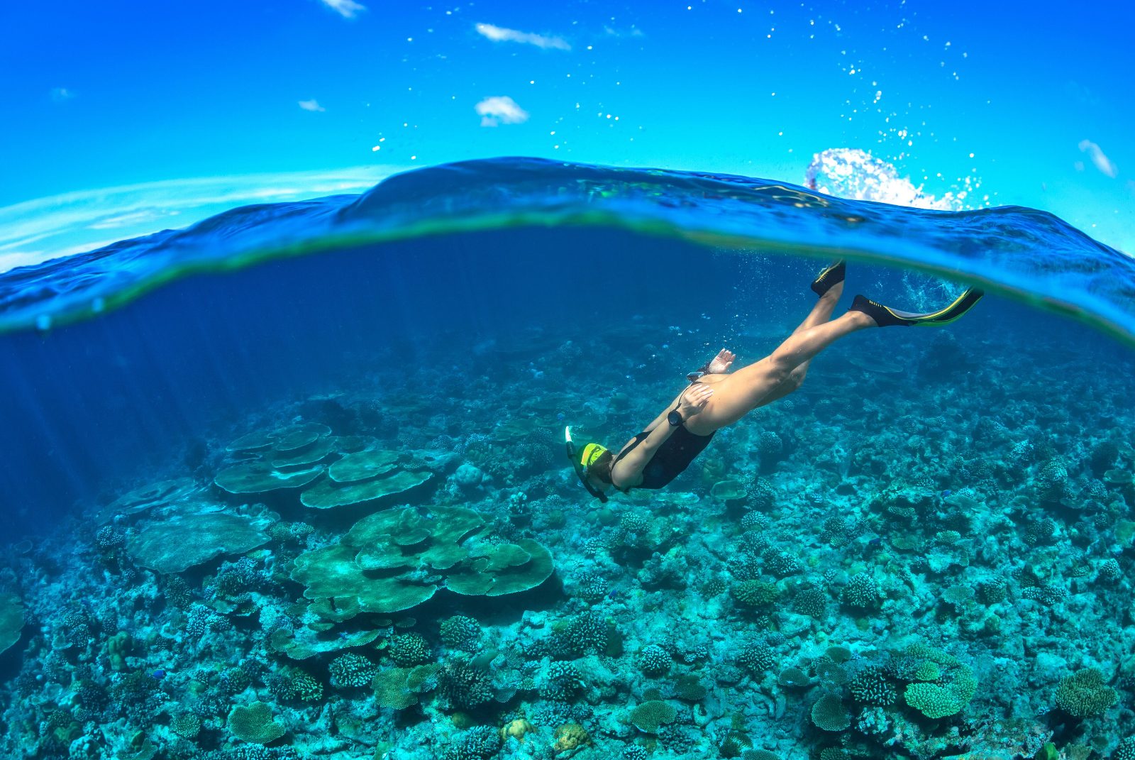 Snorkeling in Cozumel