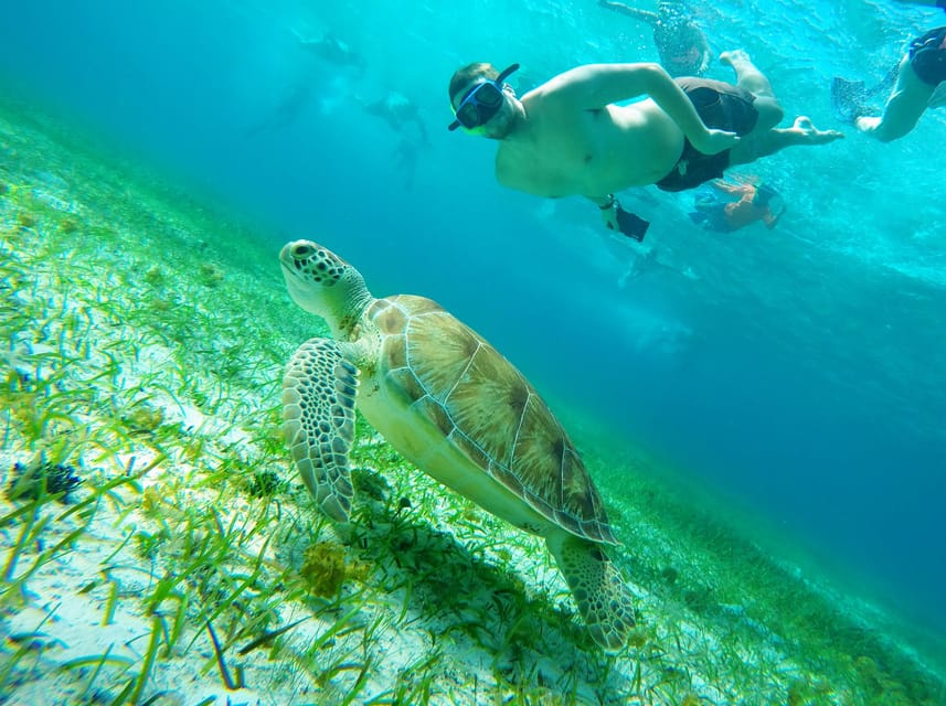 Your experience at Snorkeling in Cozumel