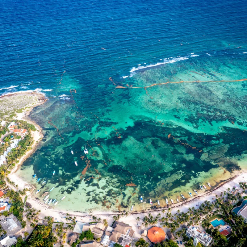 Swim with Turtles Cancun at Akumal Beach