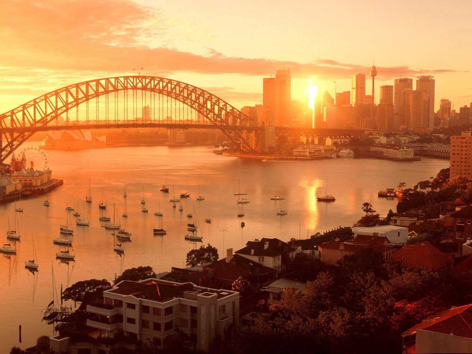 Harbour Morning Glow