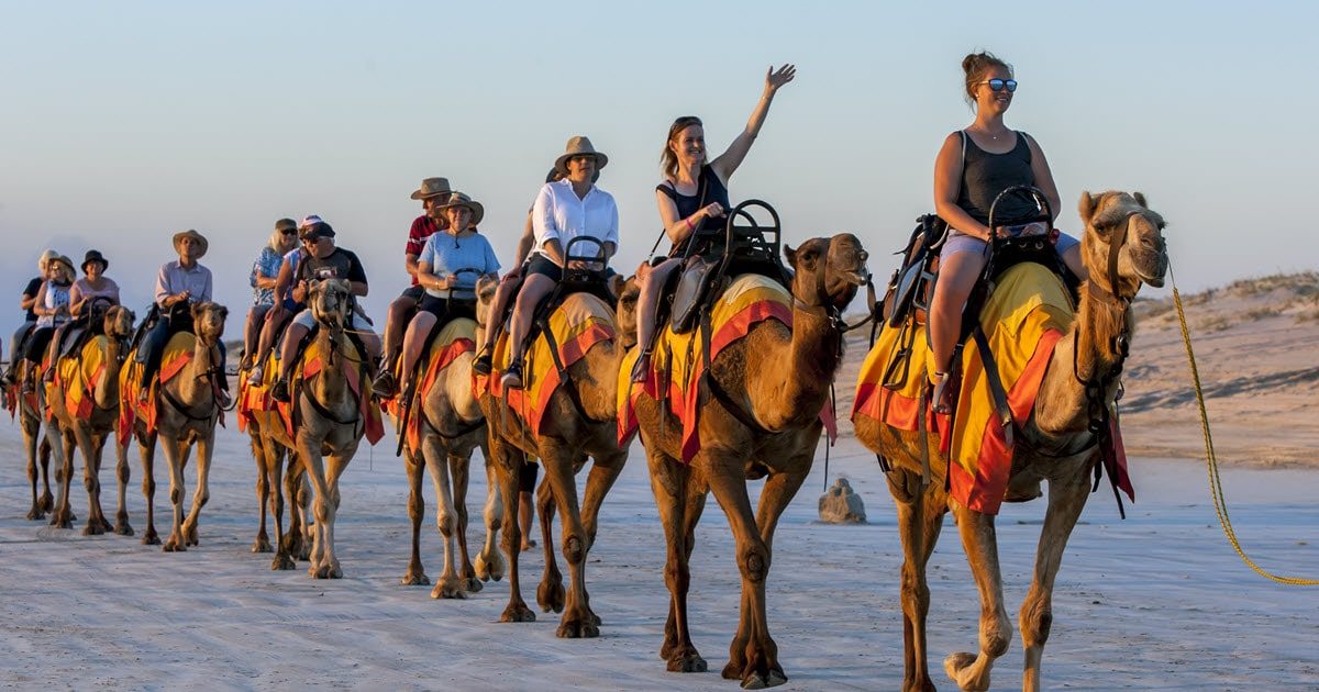 Your experience at Cable Beach Camel Rides