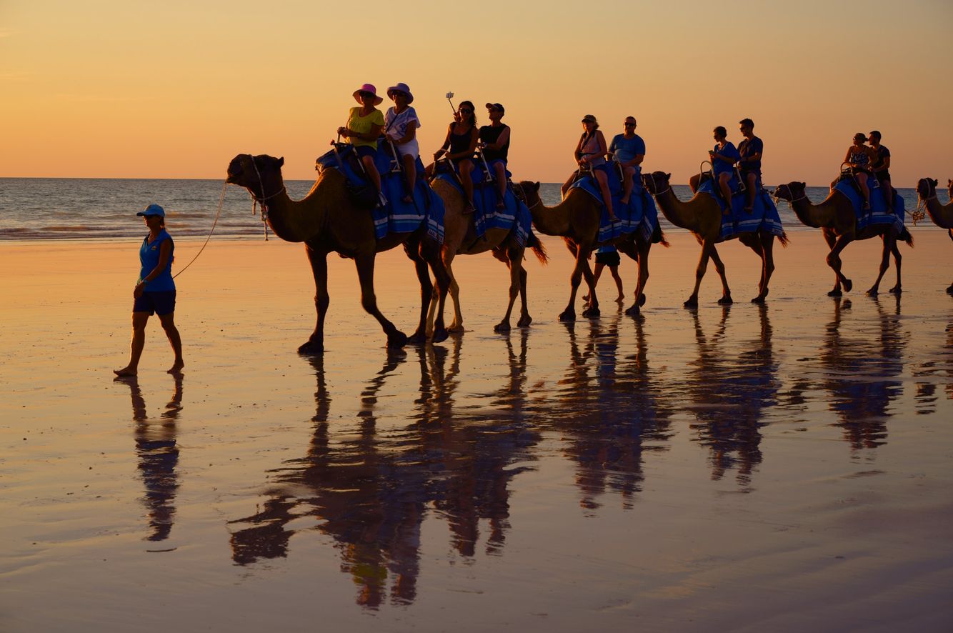 The Camel Train