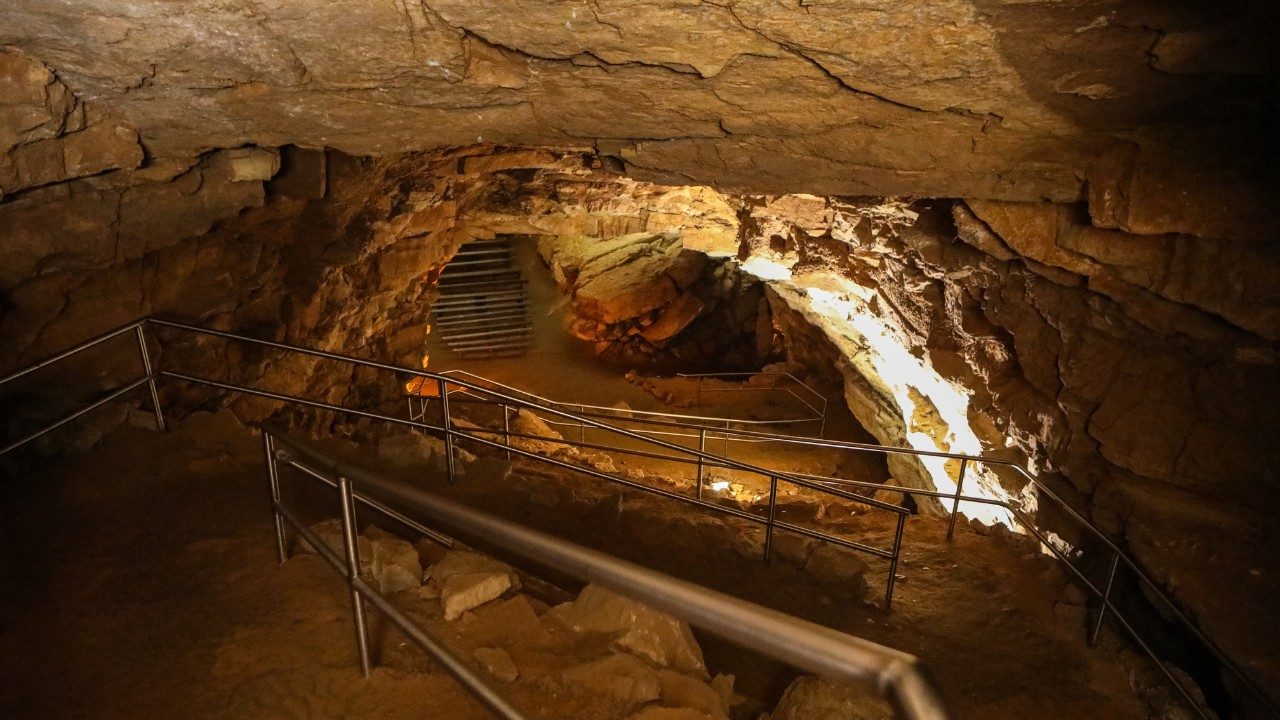 The Cave Store
