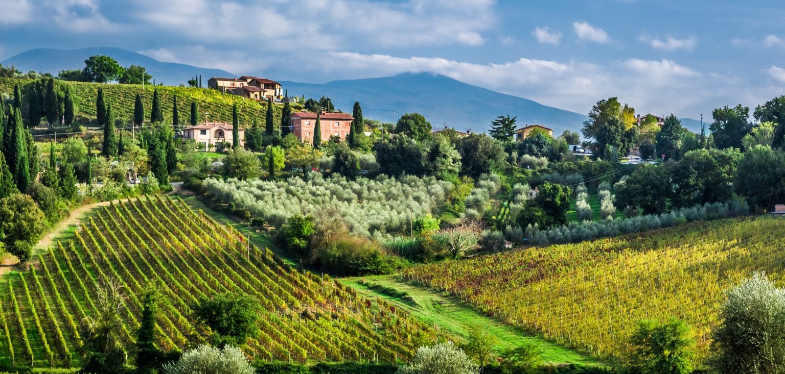 Wine Tour From Florence