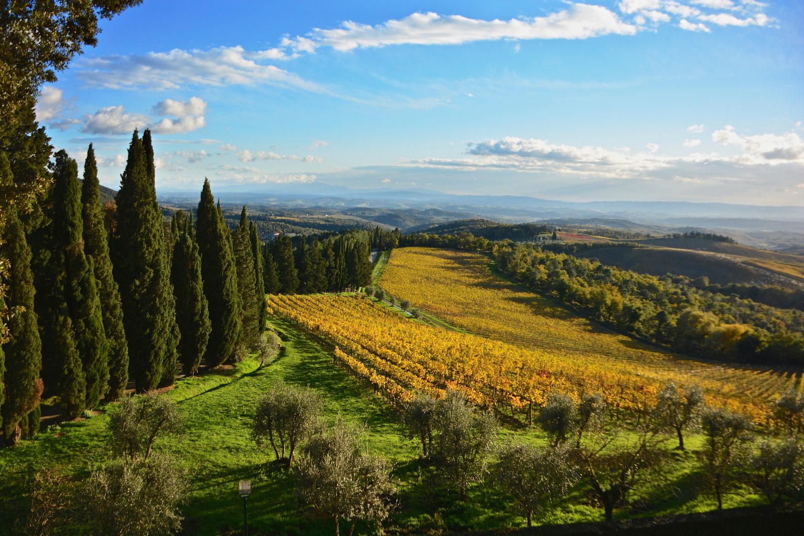 Wine Tour from Florence Through Chianti