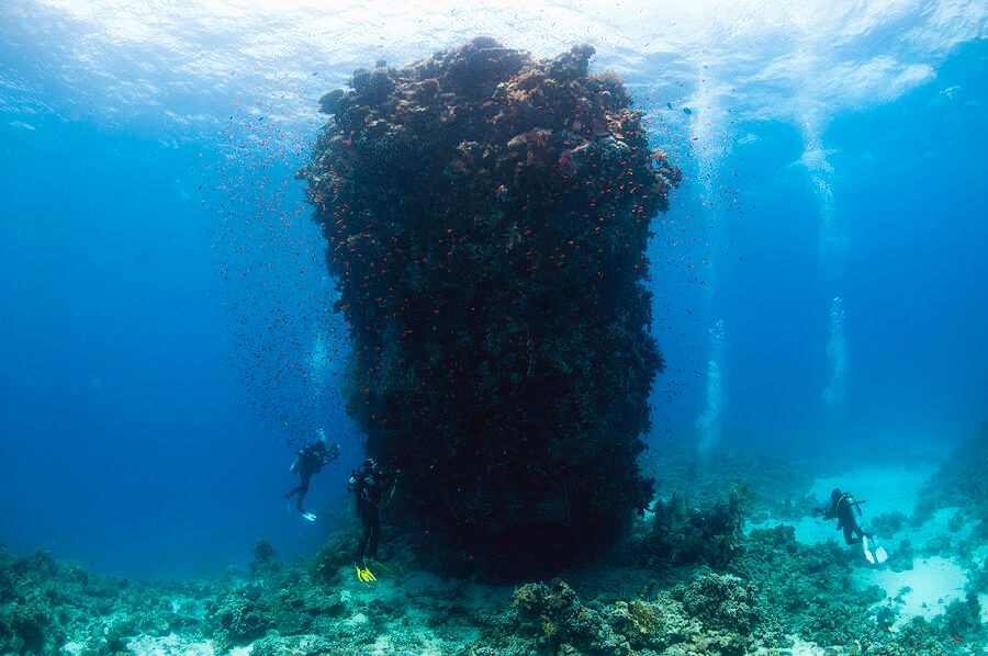 Your experience at Diving Hurghada
