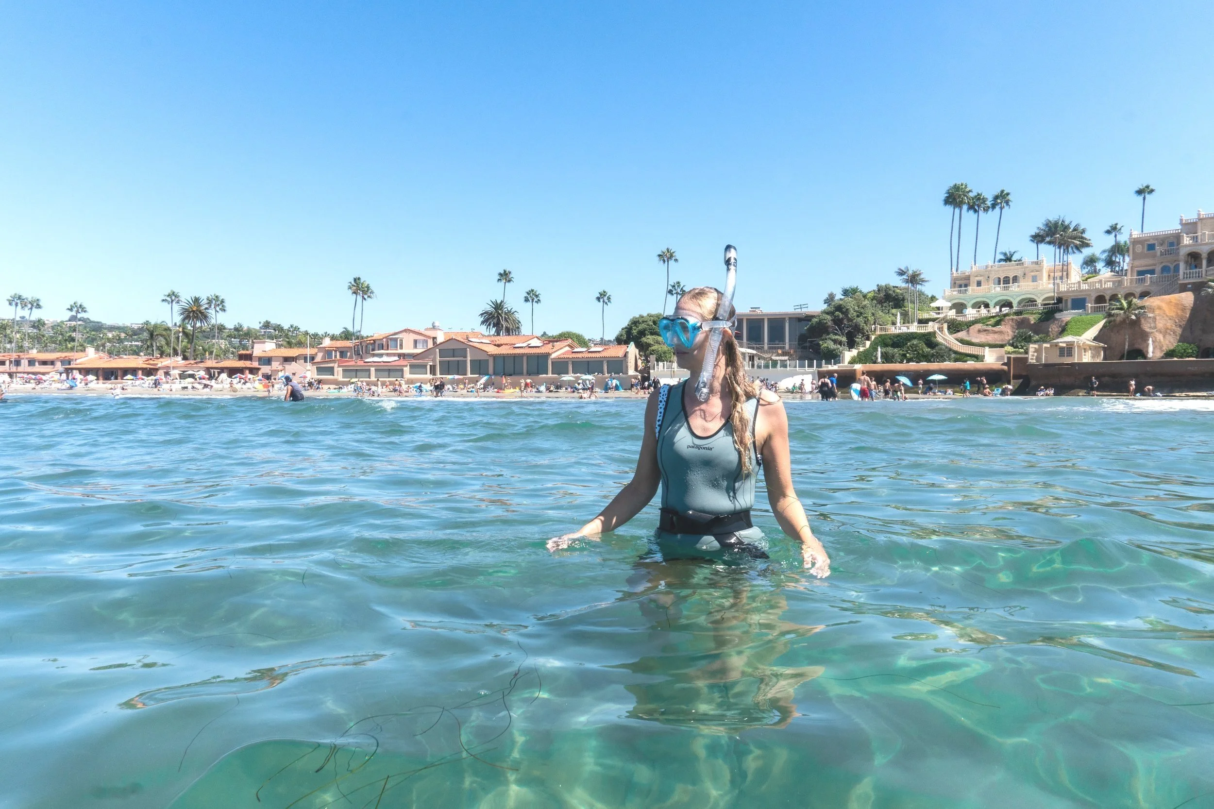 La Jolla Shores Snorkeling