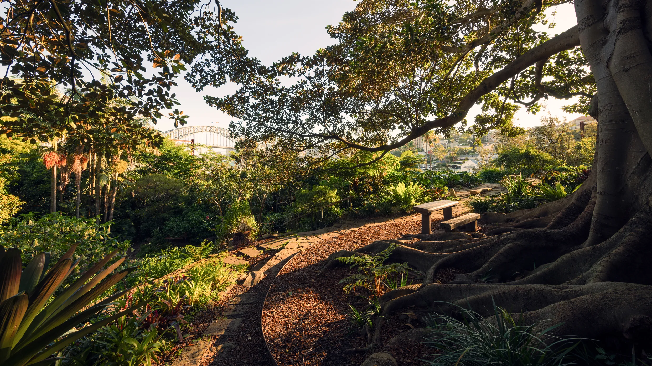 Wendy Whiteley's Secret Garden